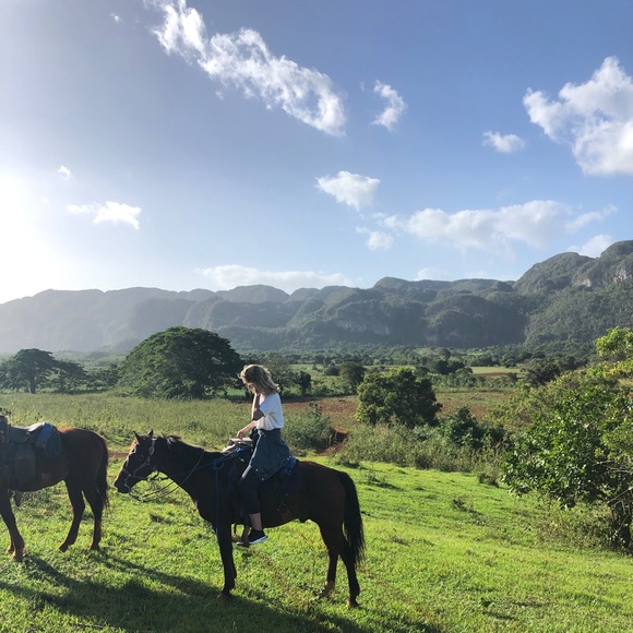 Meet the posher - Picture 3 of 4